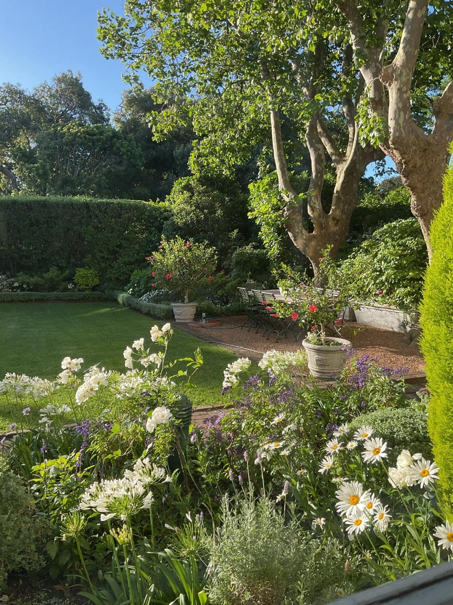 Sandown Lodge Cape Town Exterior photo