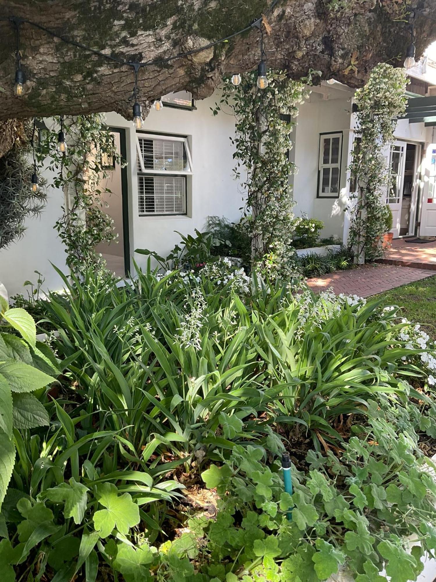 Sandown Lodge Cape Town Exterior photo